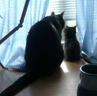 Boo and Twila